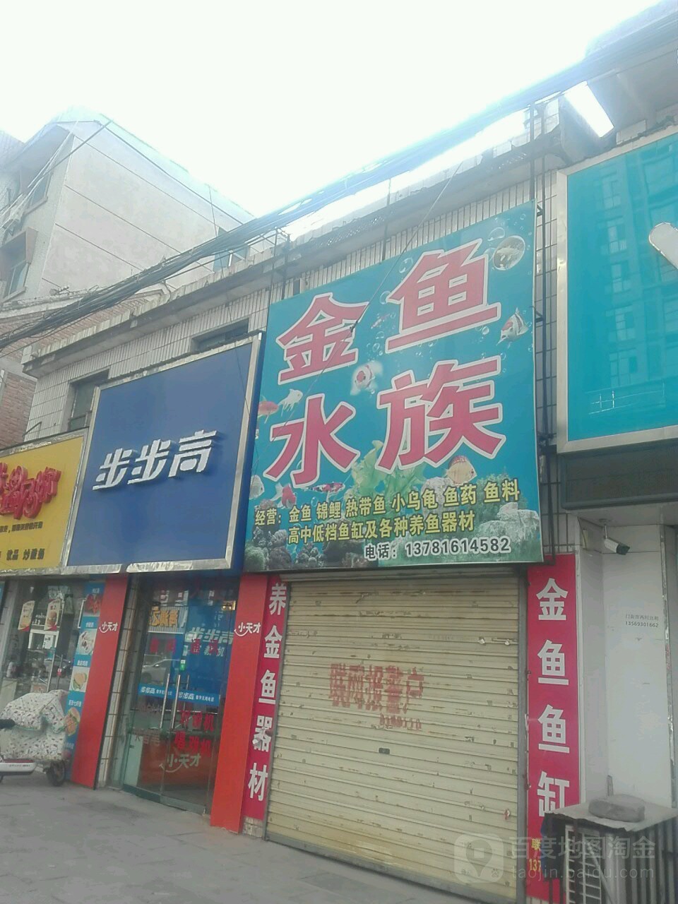金雨水族
