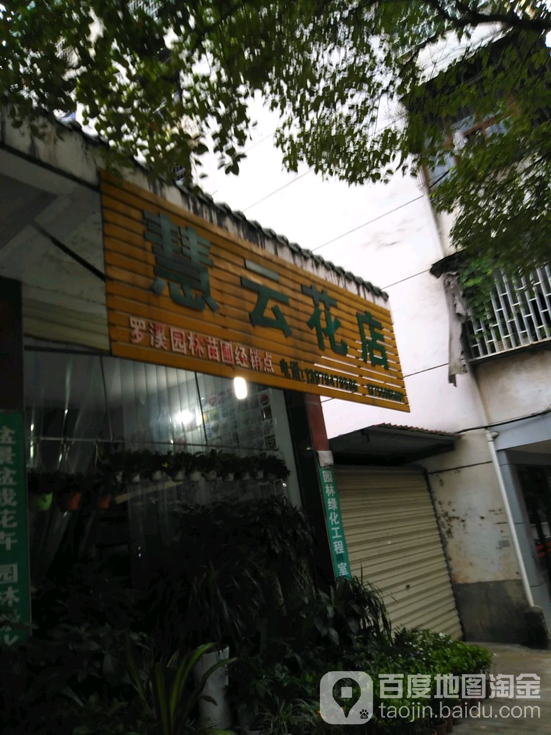 慧云花店(罗溪园林苗圃经销点)