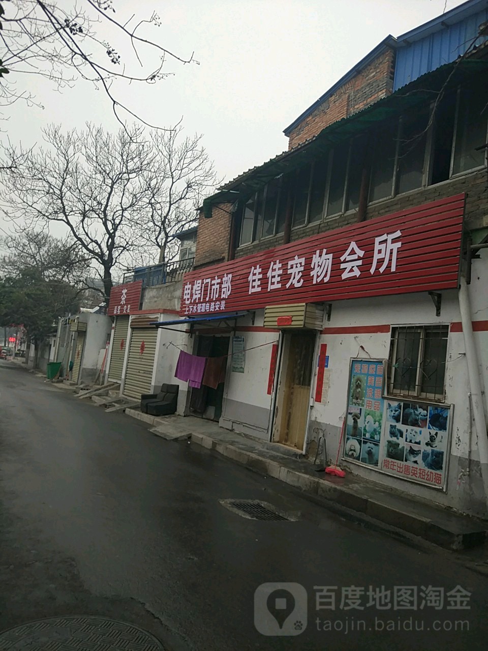 佳佳宠物店会所(油坊街)