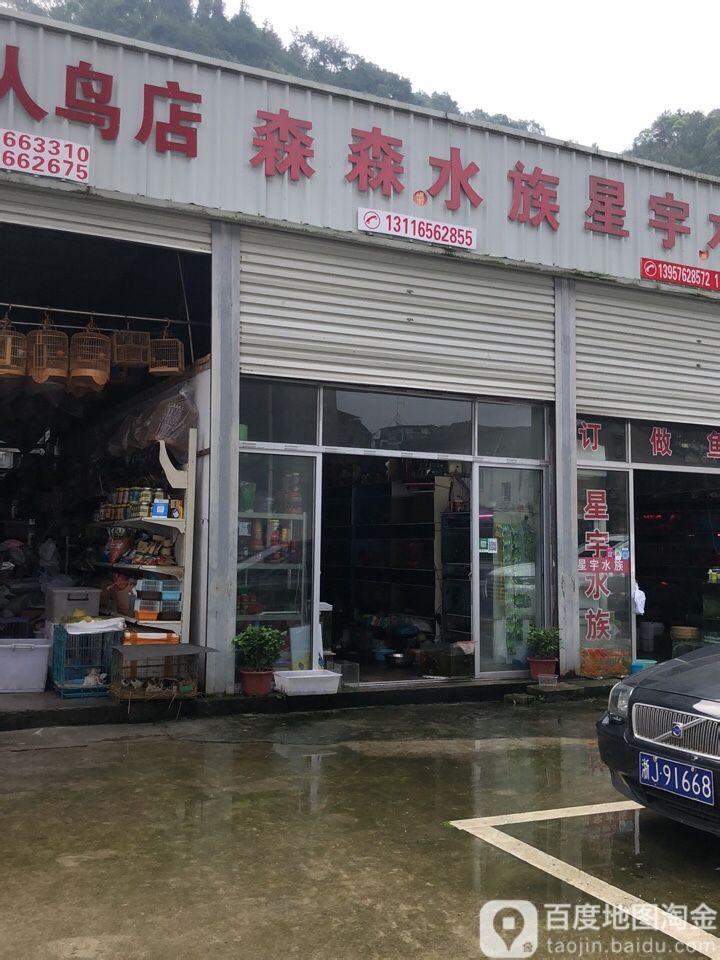 森森水族(康复路店)