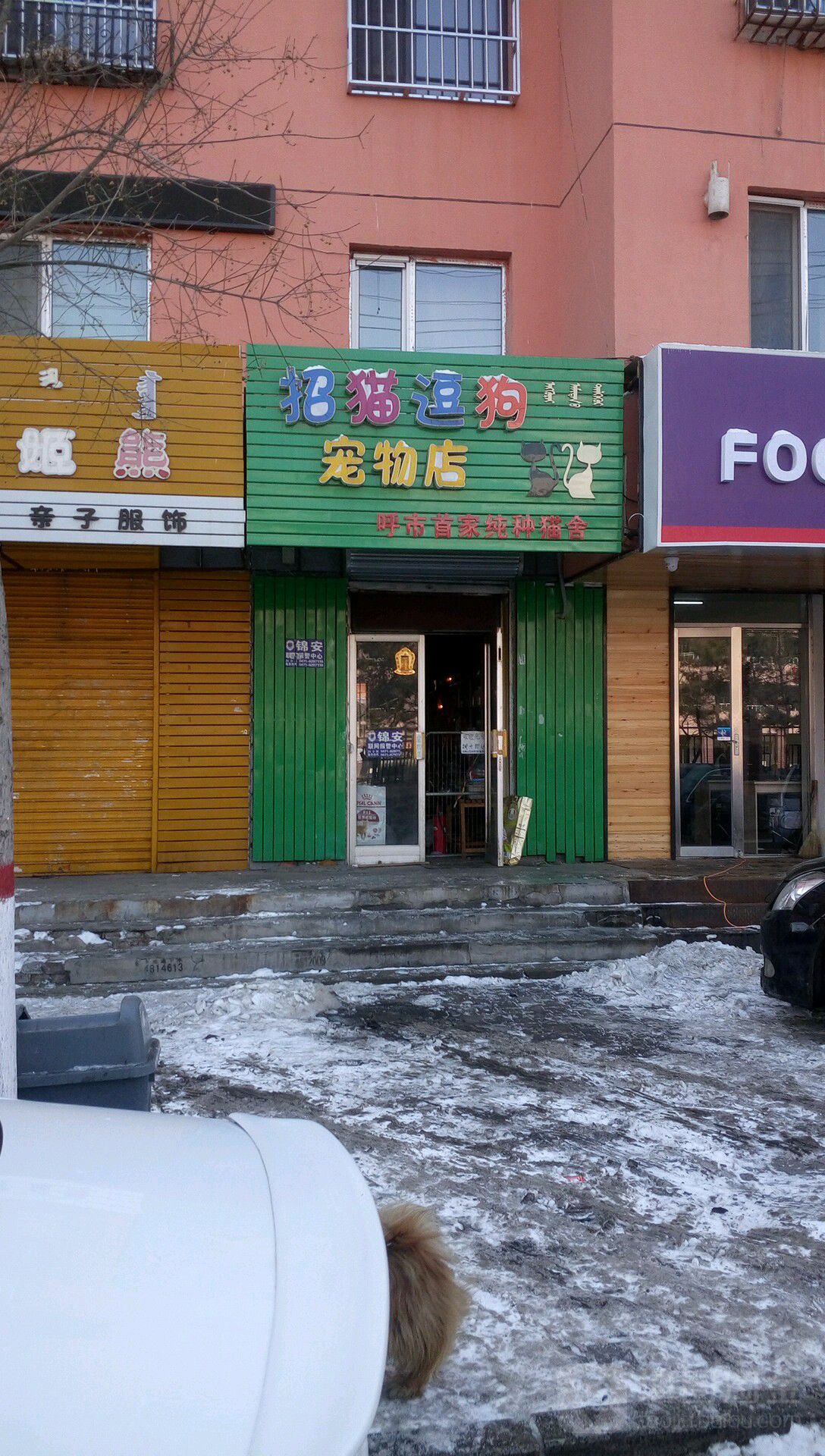 逗猫逗狗宠物店(新城区店)