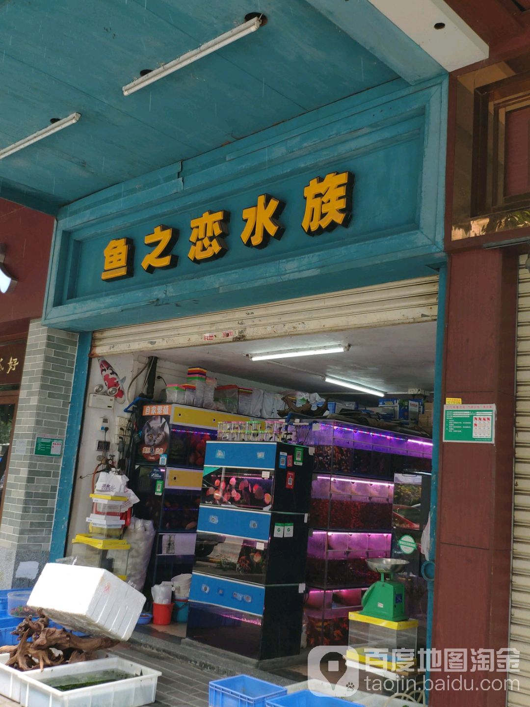 鱼之恋水族
