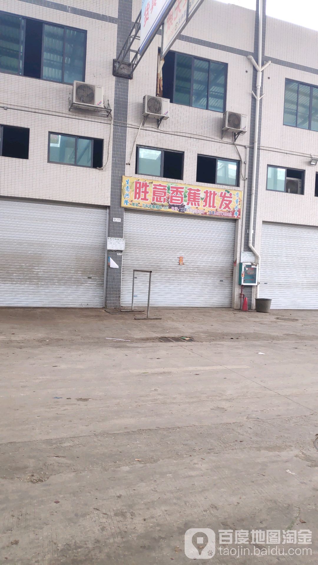 胜意香蕉批发