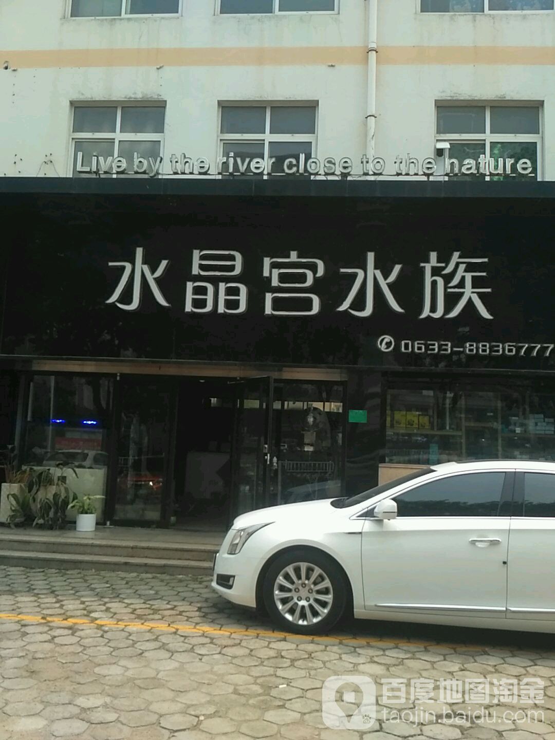 水晶宫水族(山东路店)