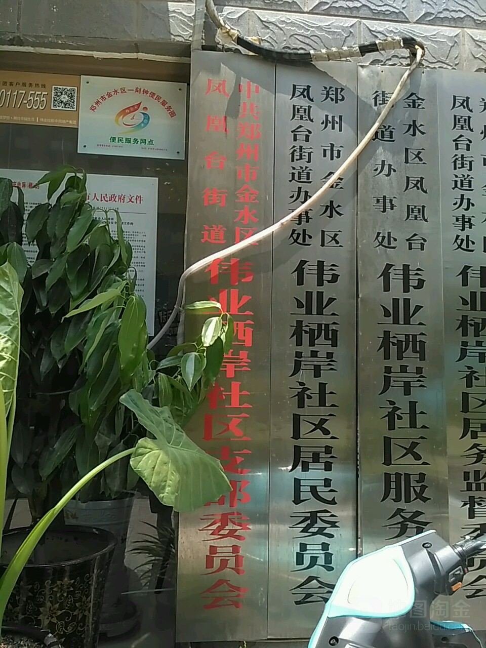 利津县凤凰城街道书记图片