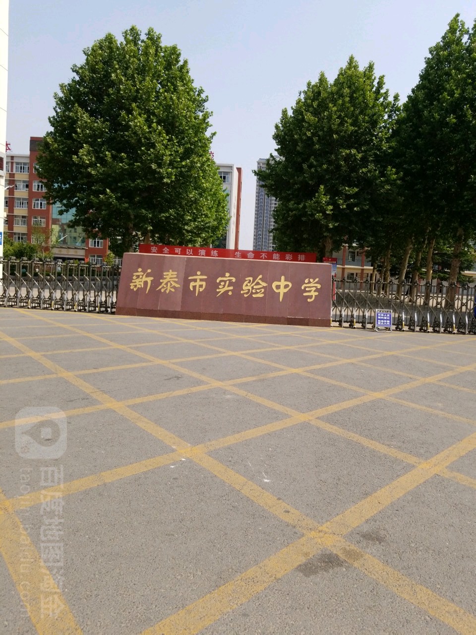 新泰市实验中学图片