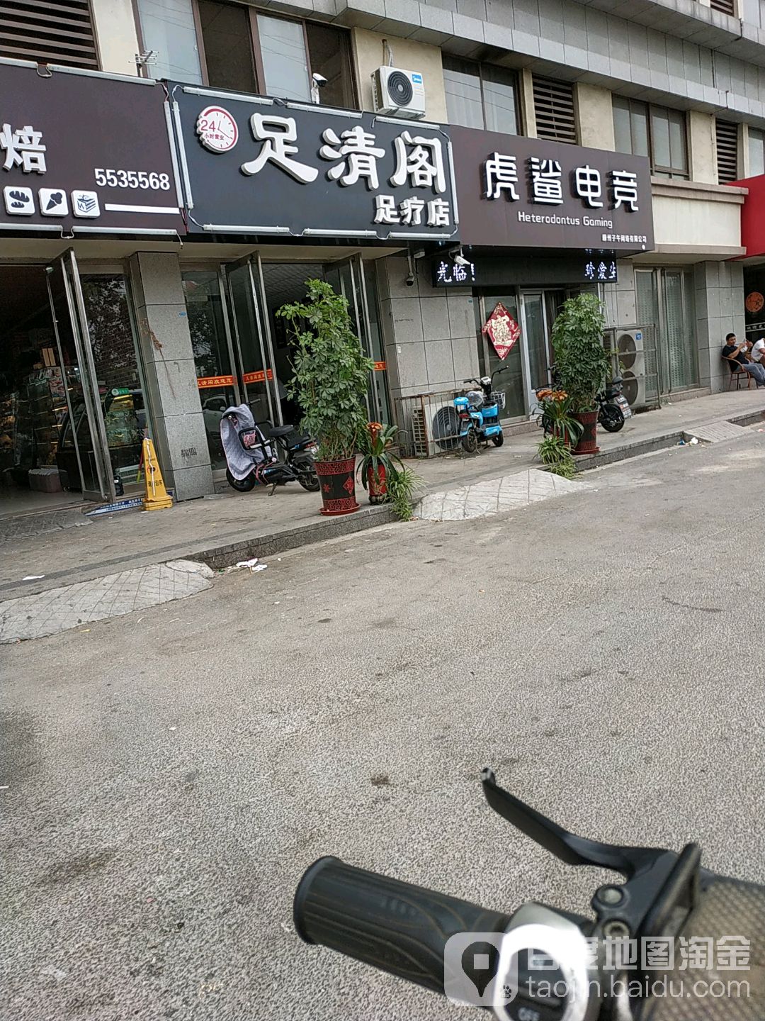 虎鲨点竞