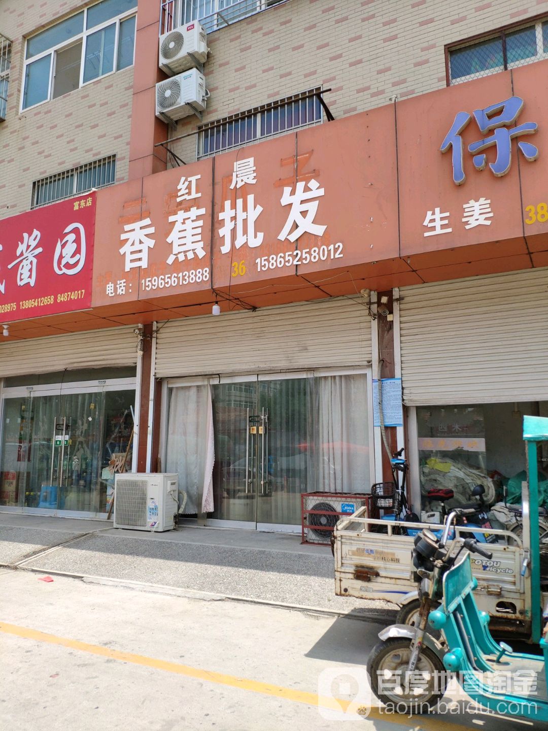 红晨香蕉批发