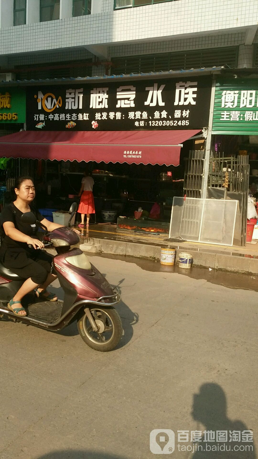 新该念水族