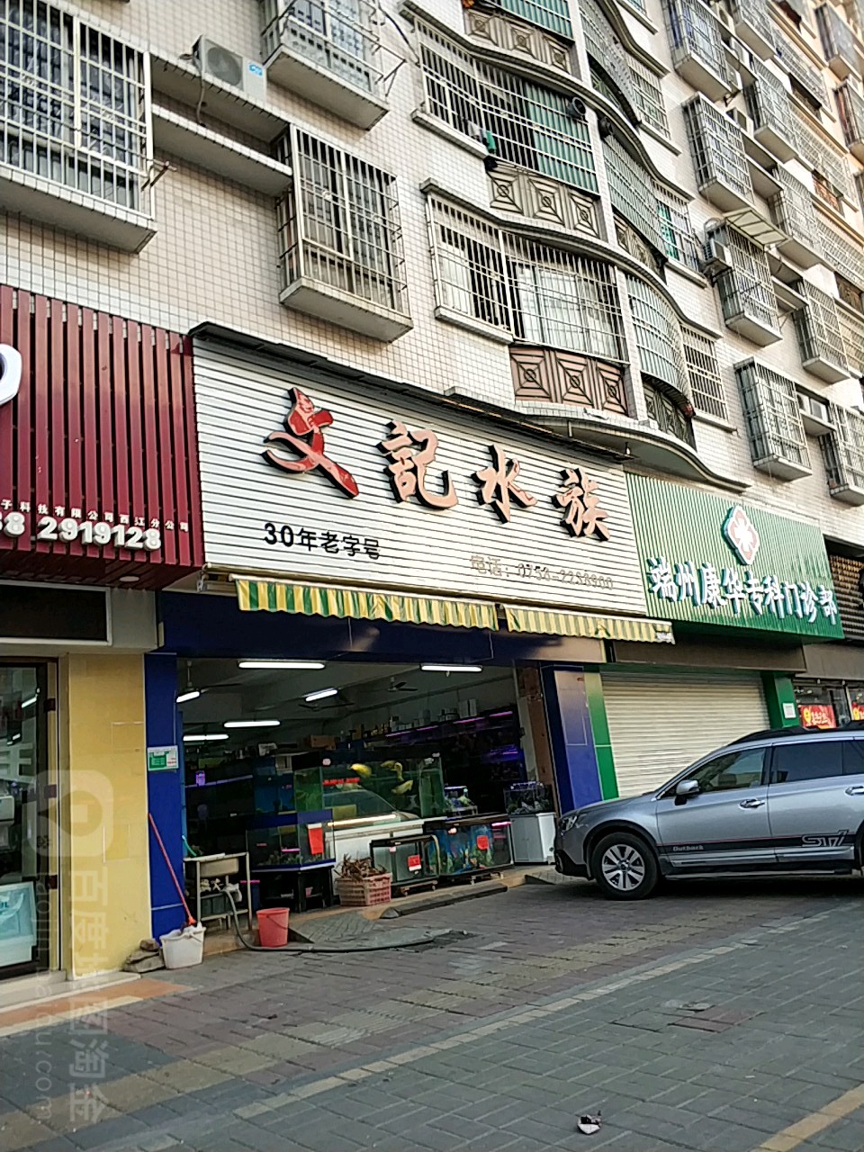 文计水族(西江路店)