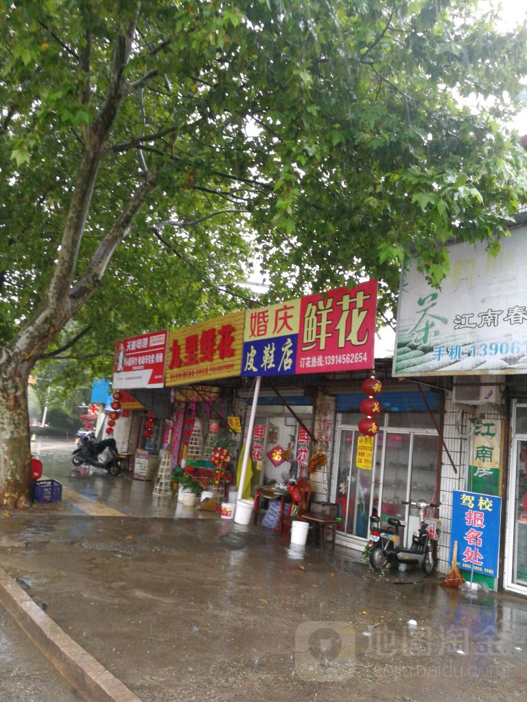 九里鲜花(九里街店)