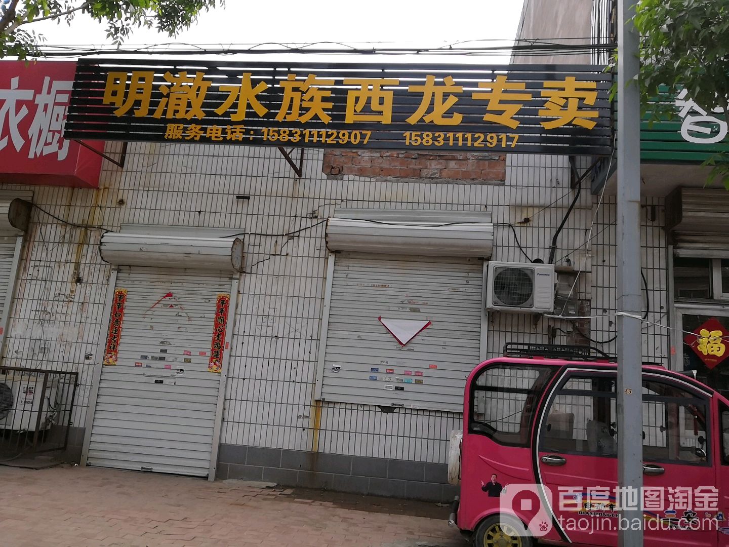 明澈水族西龙专卖(西龙专卖店)