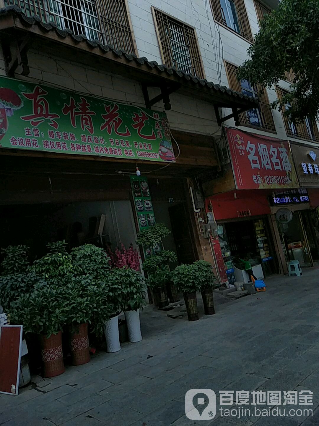 真情花一