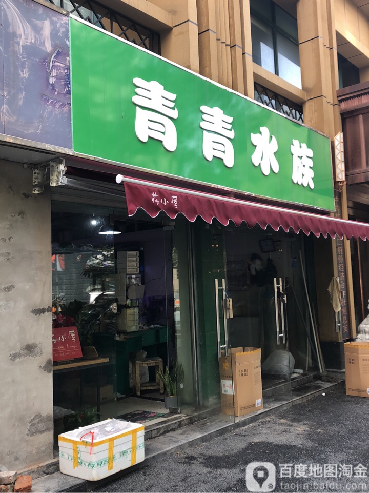 青清水族