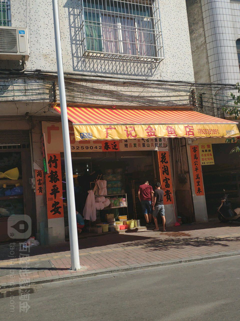 广记金鱼店