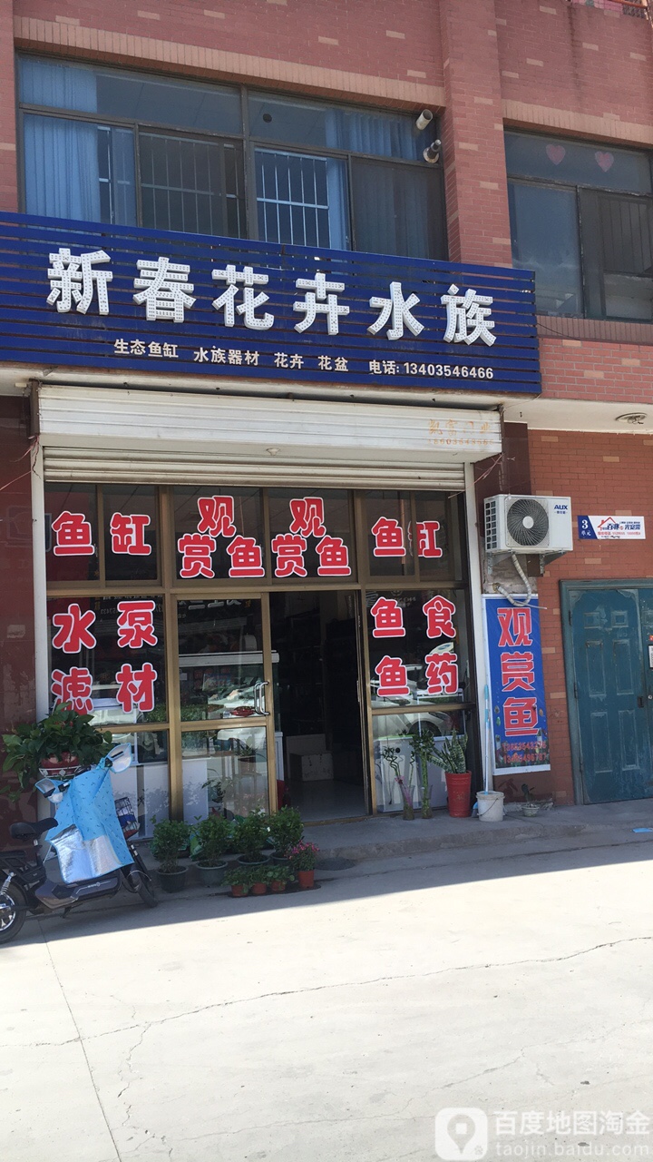 新春花卉水族
