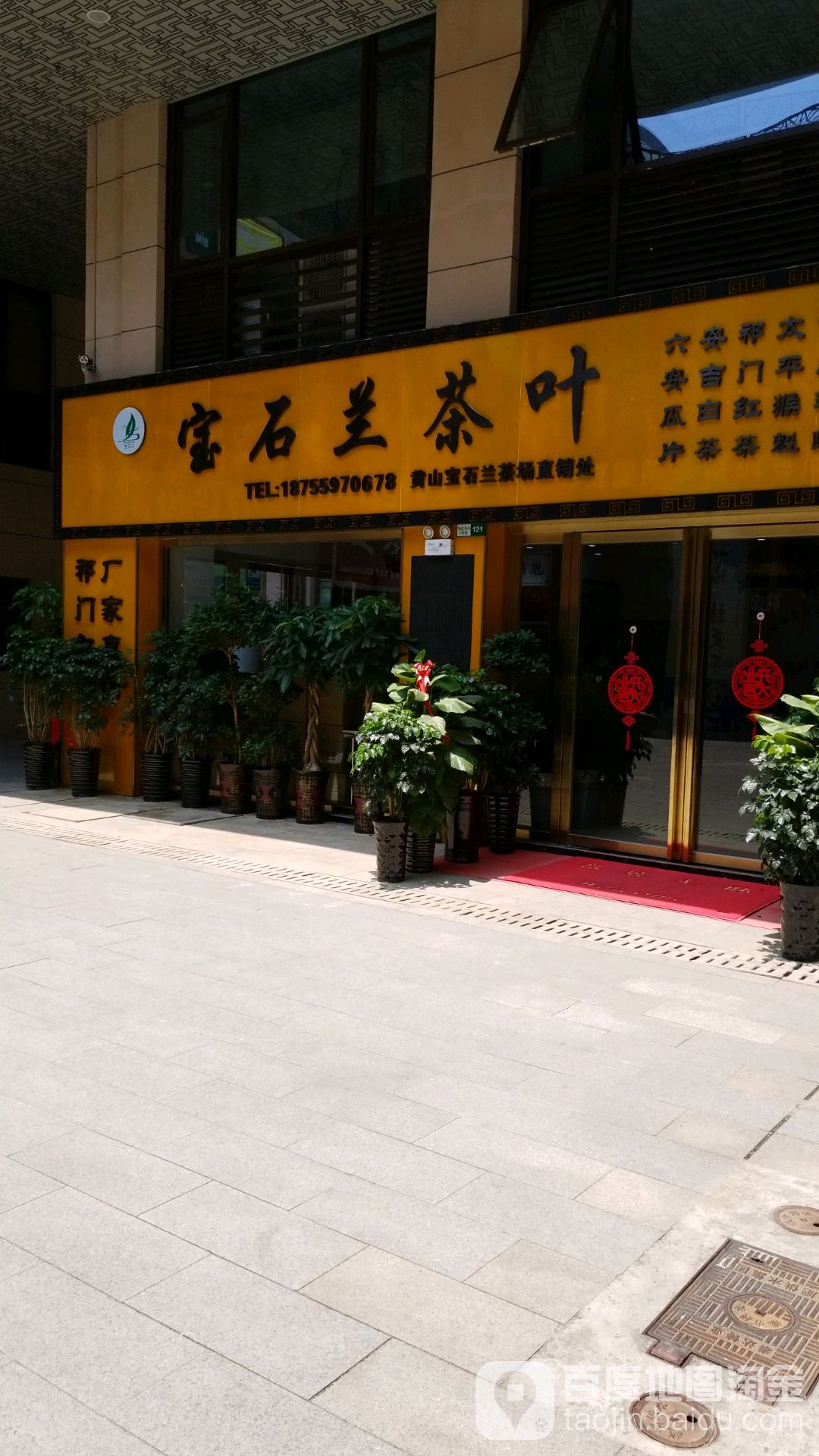 宝石兰茶业
