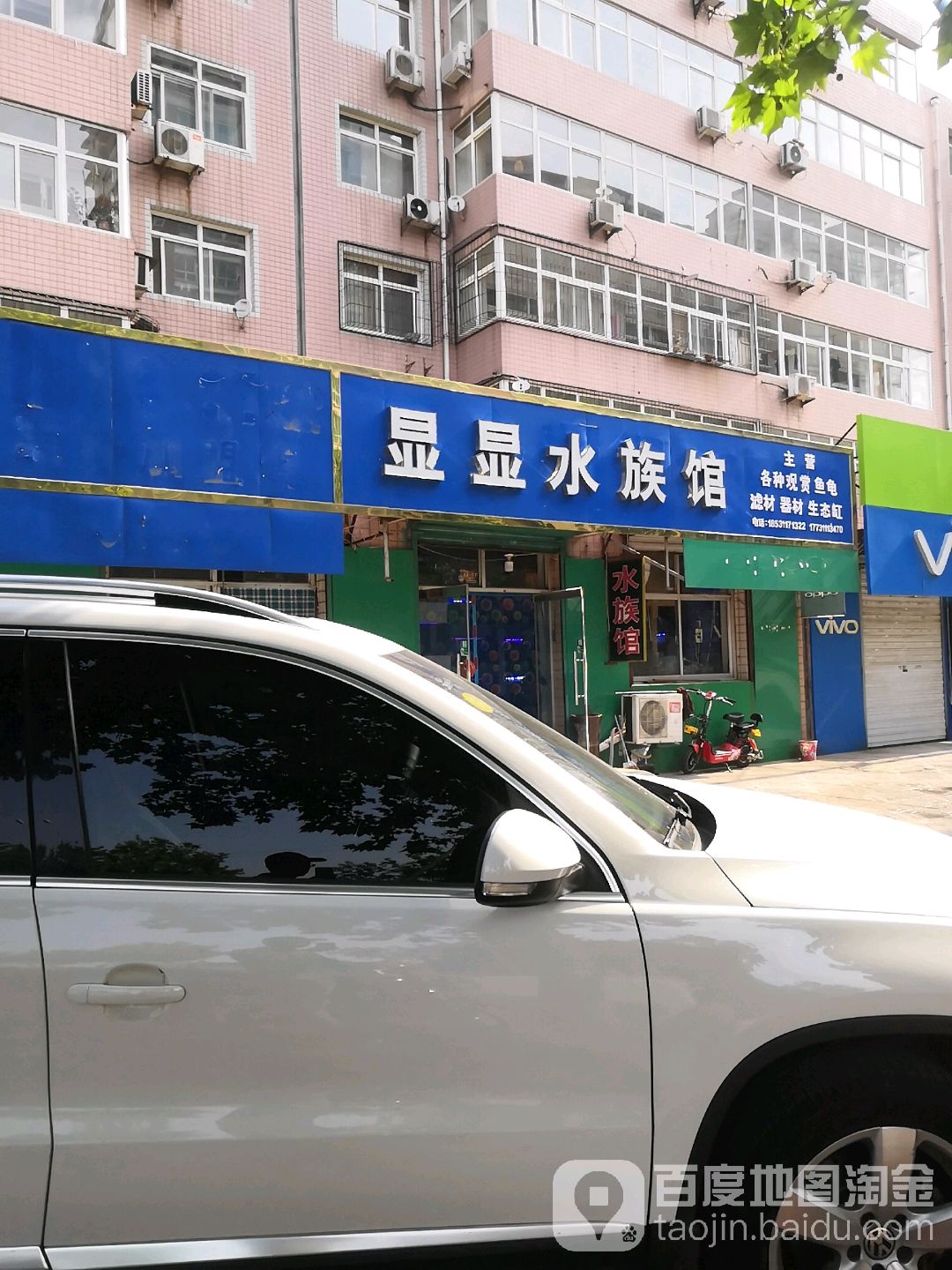 显显水族馆
