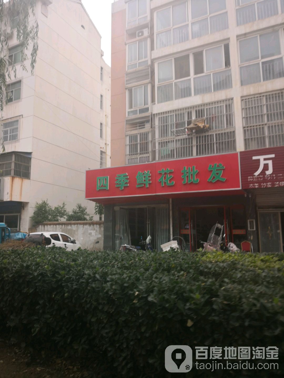 四季鲜花批发