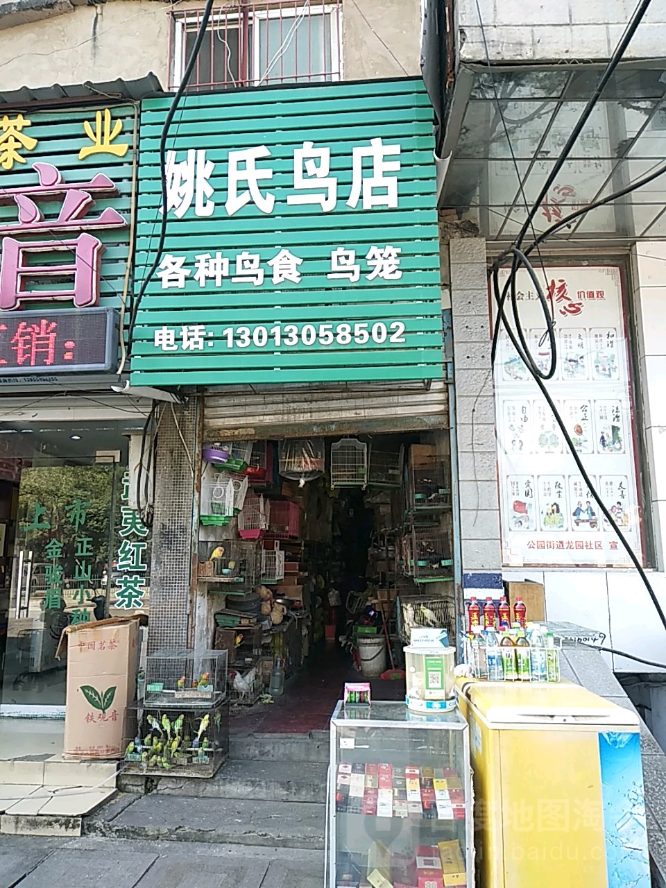姚氏鸟店
