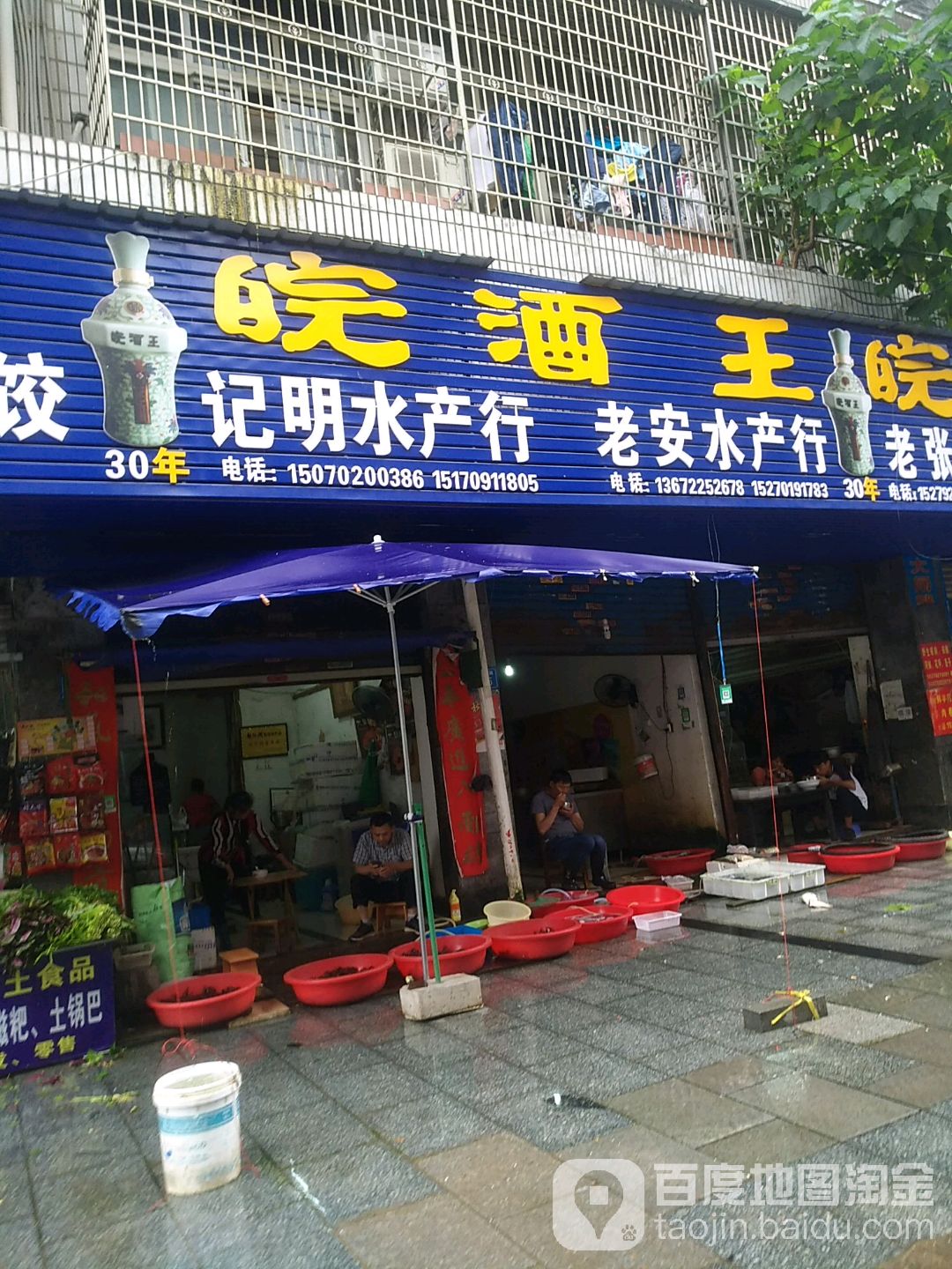 老安水产红