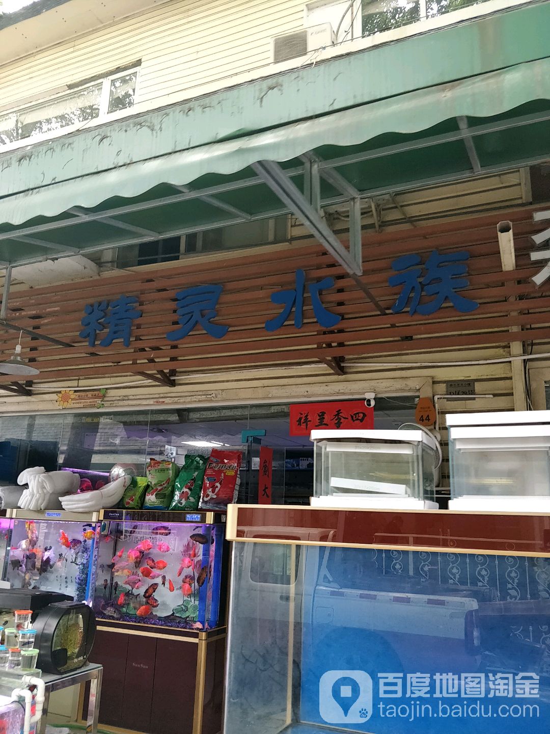 精灵水族(月亮湾大道店)