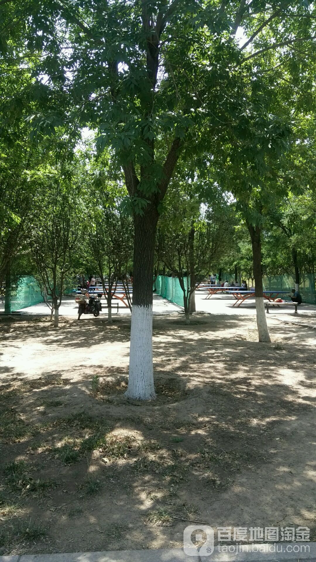 淄博市体育中心-乒乓球场地