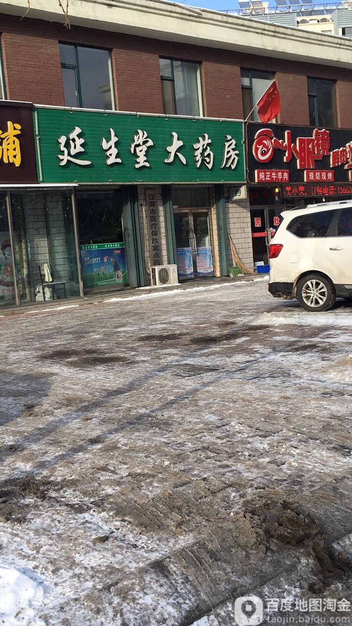 延生堂大药房(新兴路店)