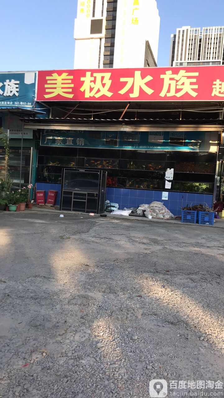 越美水族(沙井美极店)