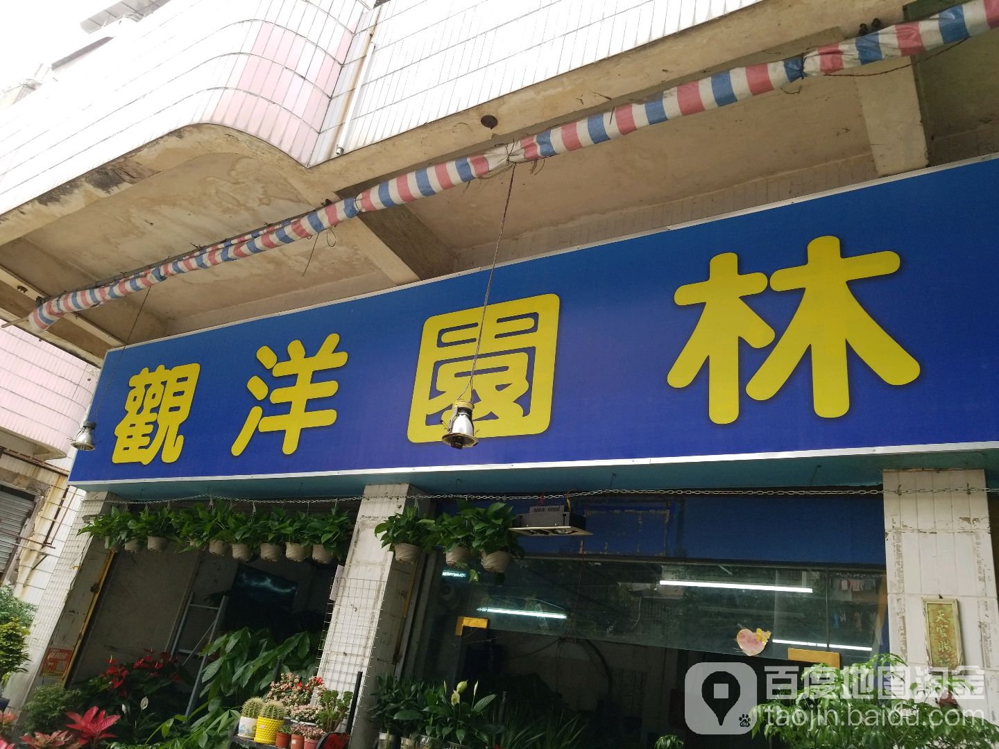 观洋园林