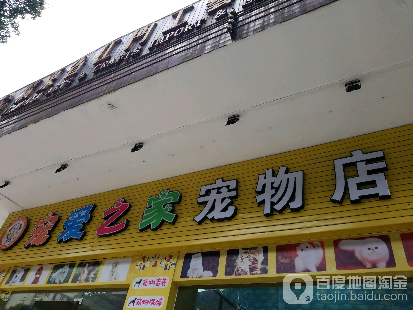 宠爱之家宠物店