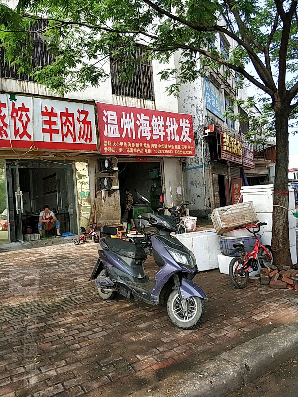 方城县温州海鲜批发(凤瑞路店)