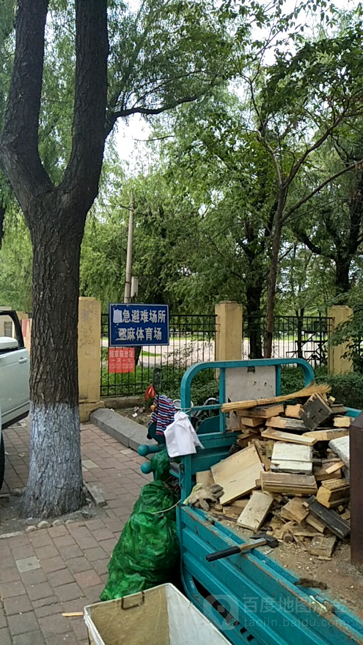亚麻体育场