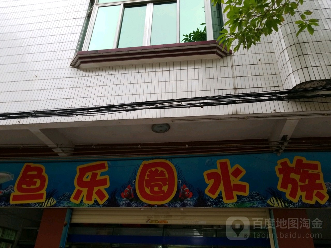 鱼乐圈水族(府前东路店)