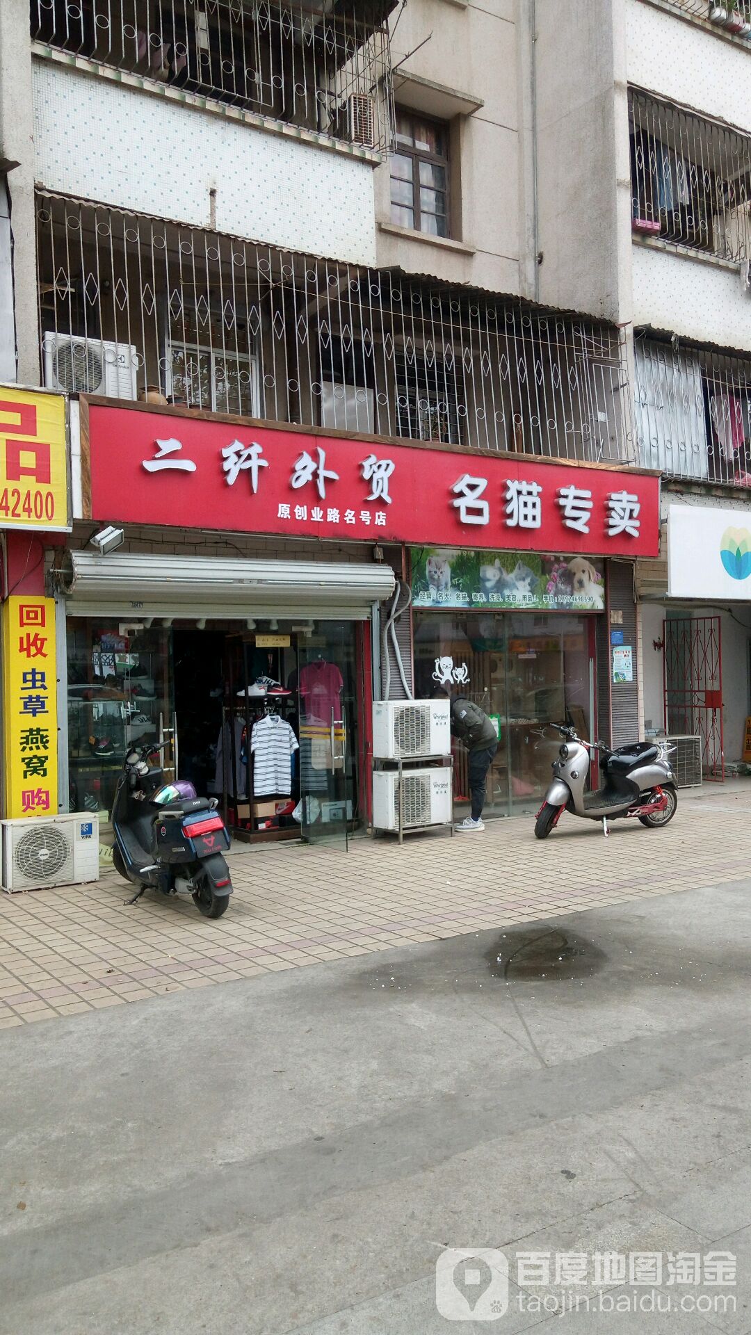 名猫专卖