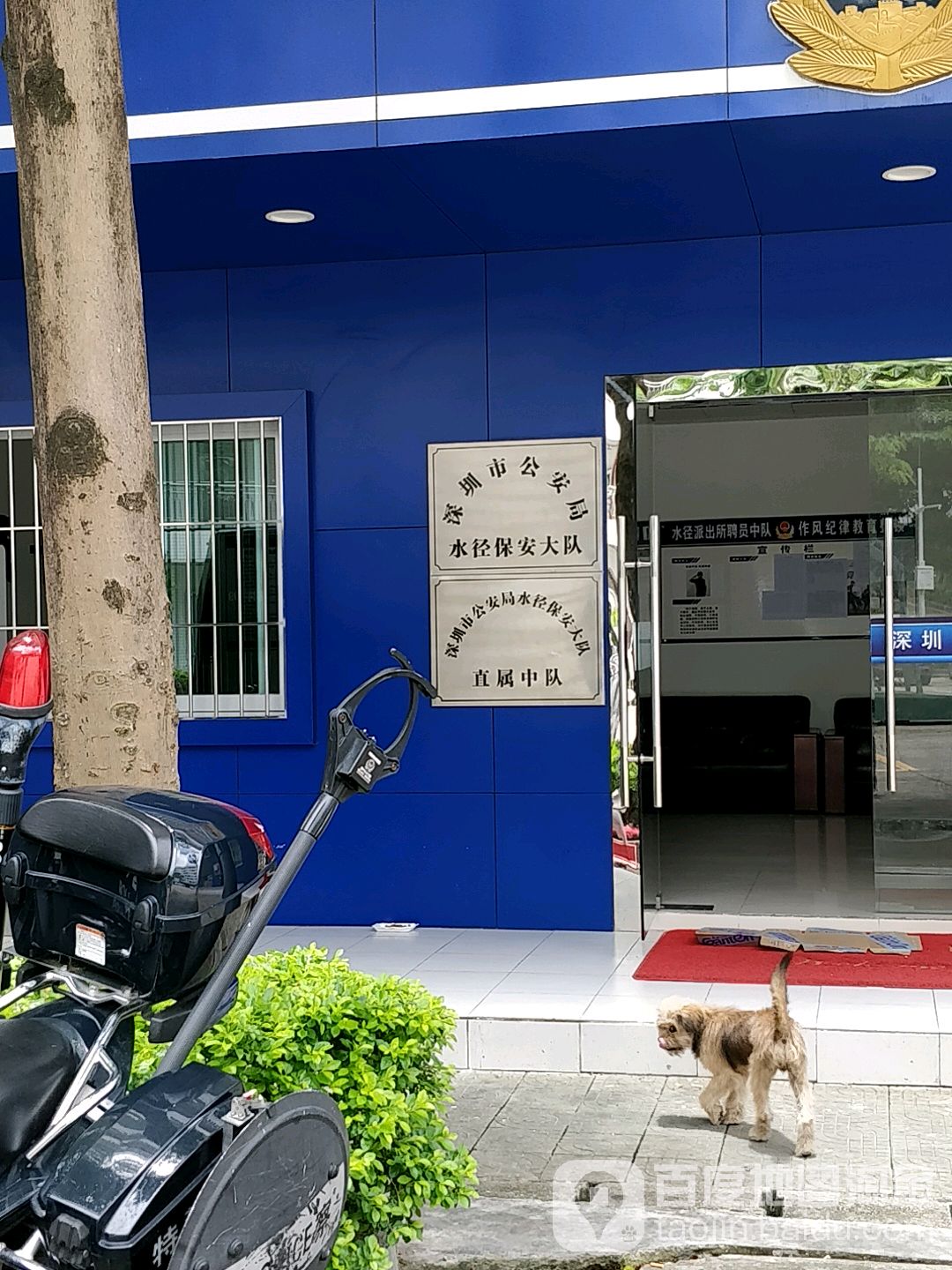 龙岗区 >> 生活服务标签: 公安局政府机构 公安机关  深圳市公安局水