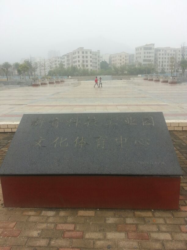 新青科技工业园文化体育中心
