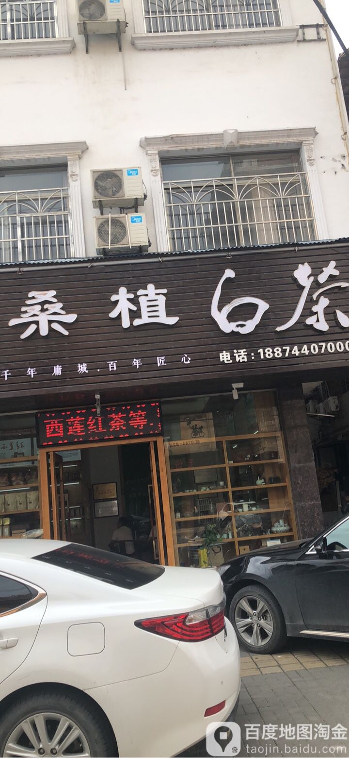 桑植白茶(永康路店)