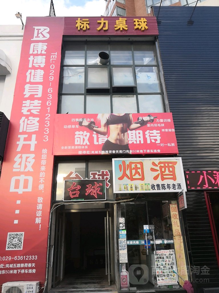 标力桌球会会(凤城五路店)