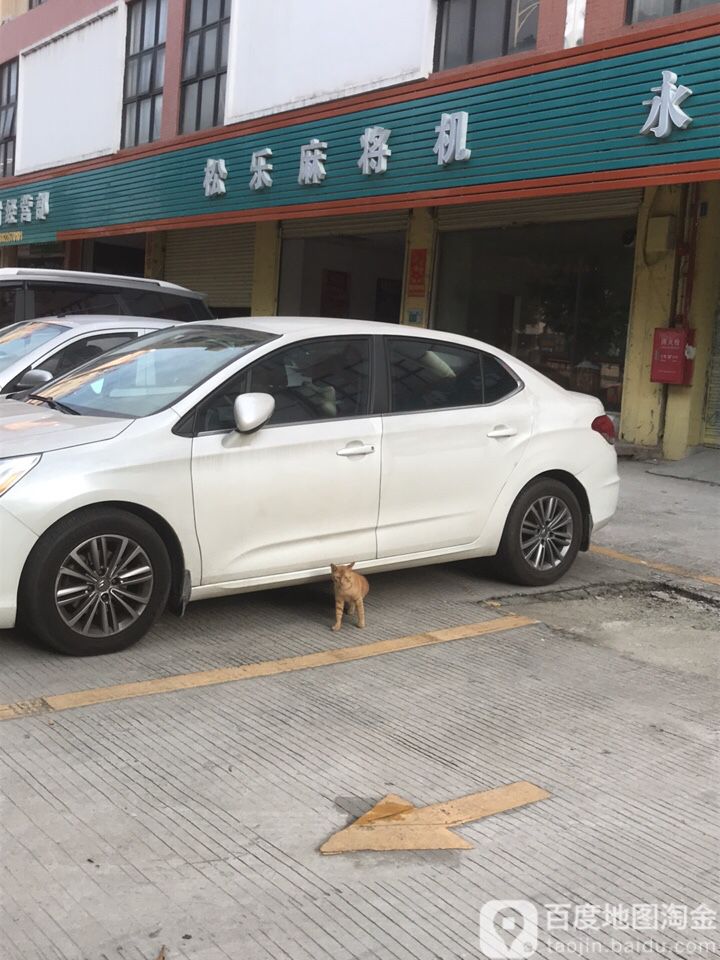 松乐麻将机(端州七路店)