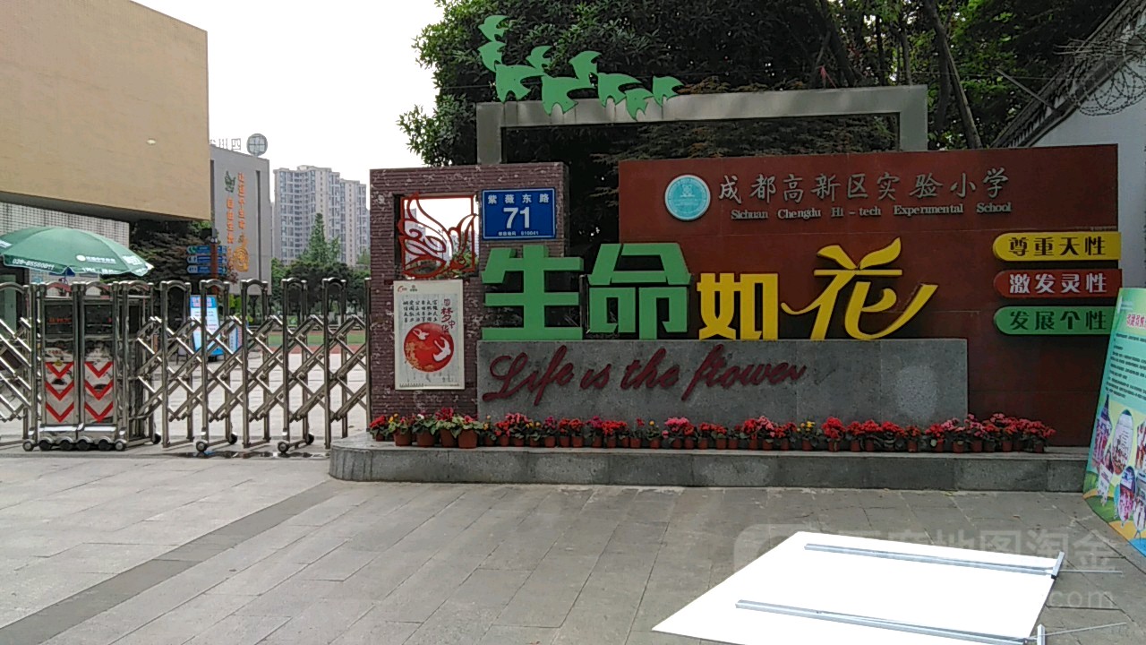 成都市高新实验小学