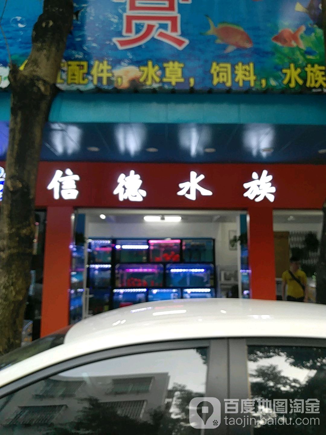 信德水景