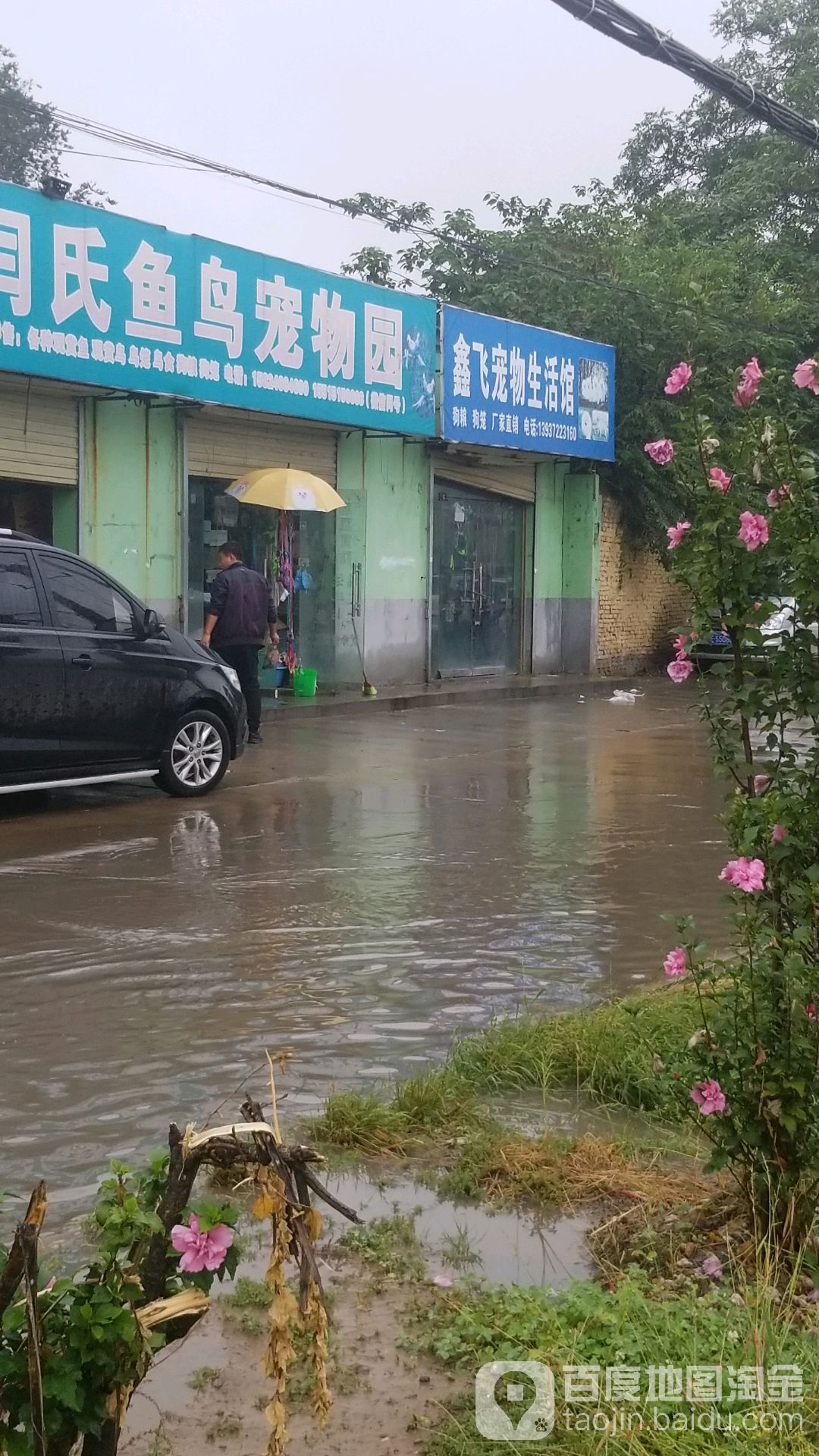 市鑫飞生活宠物馆