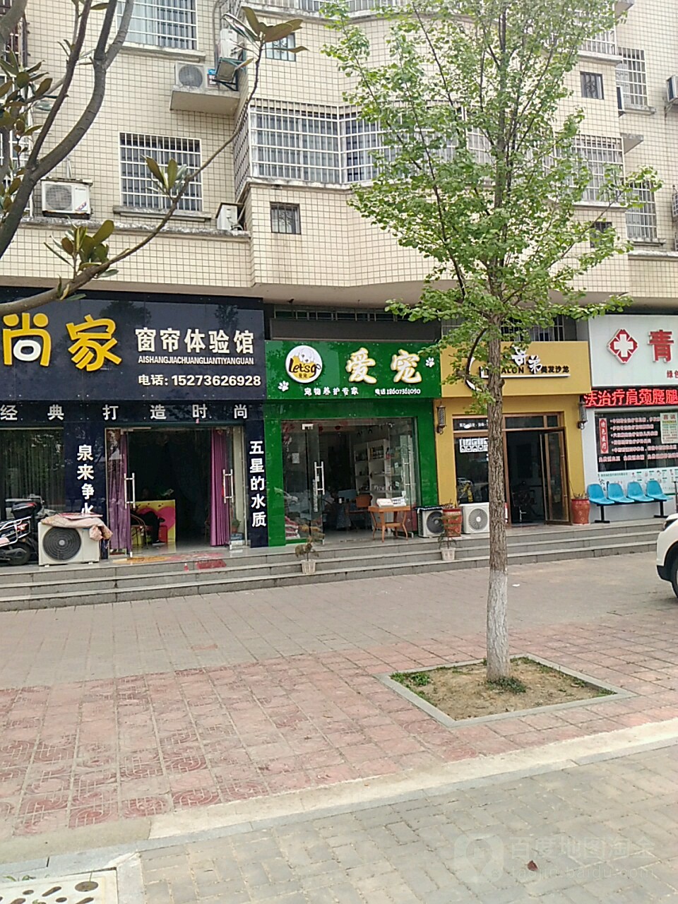 爱宠宠物养护专家