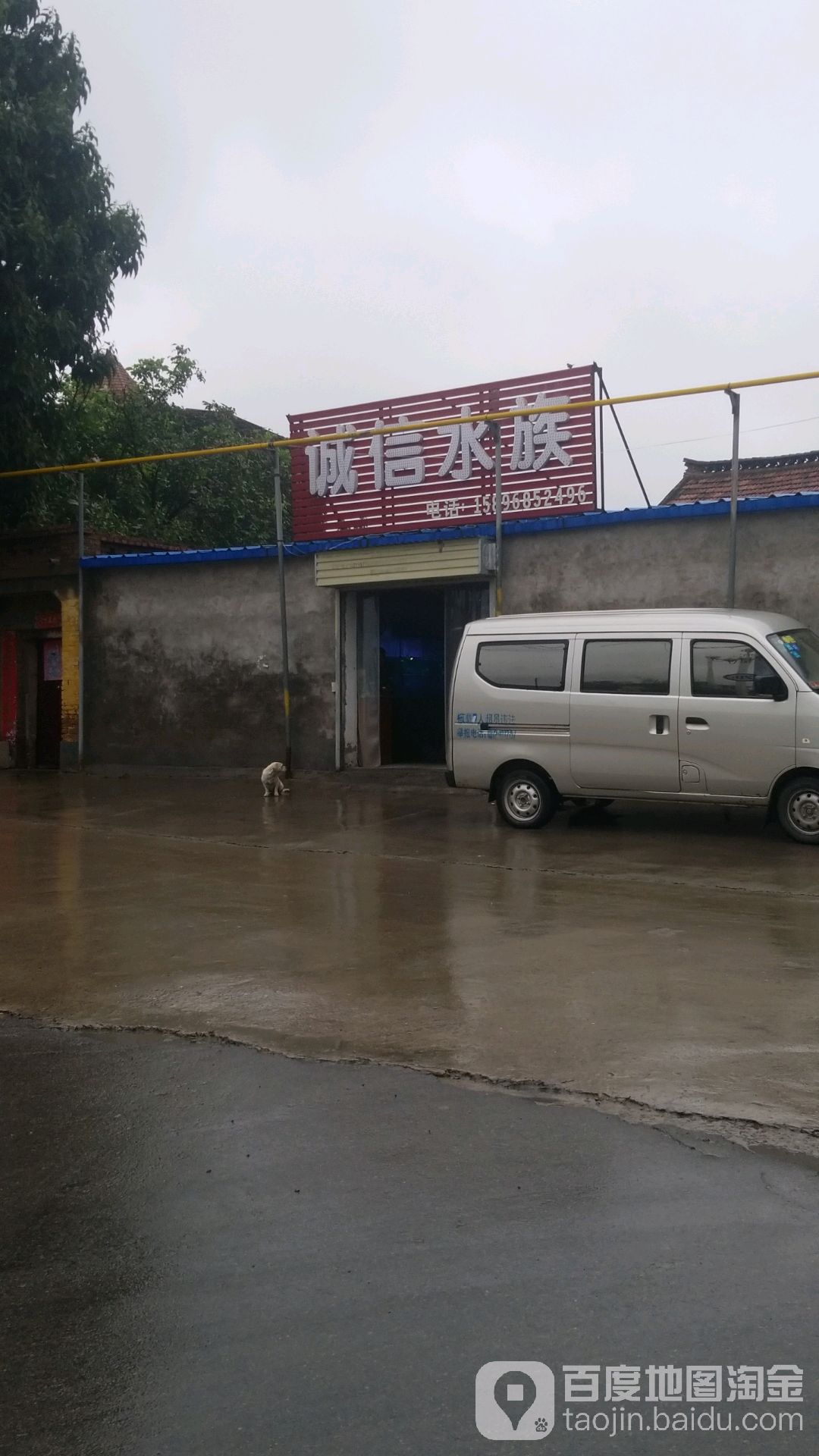 诚信水族观赏鱼专卖店