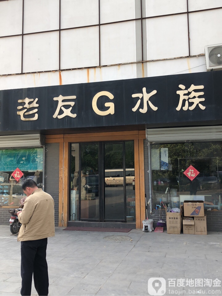 老友G水族