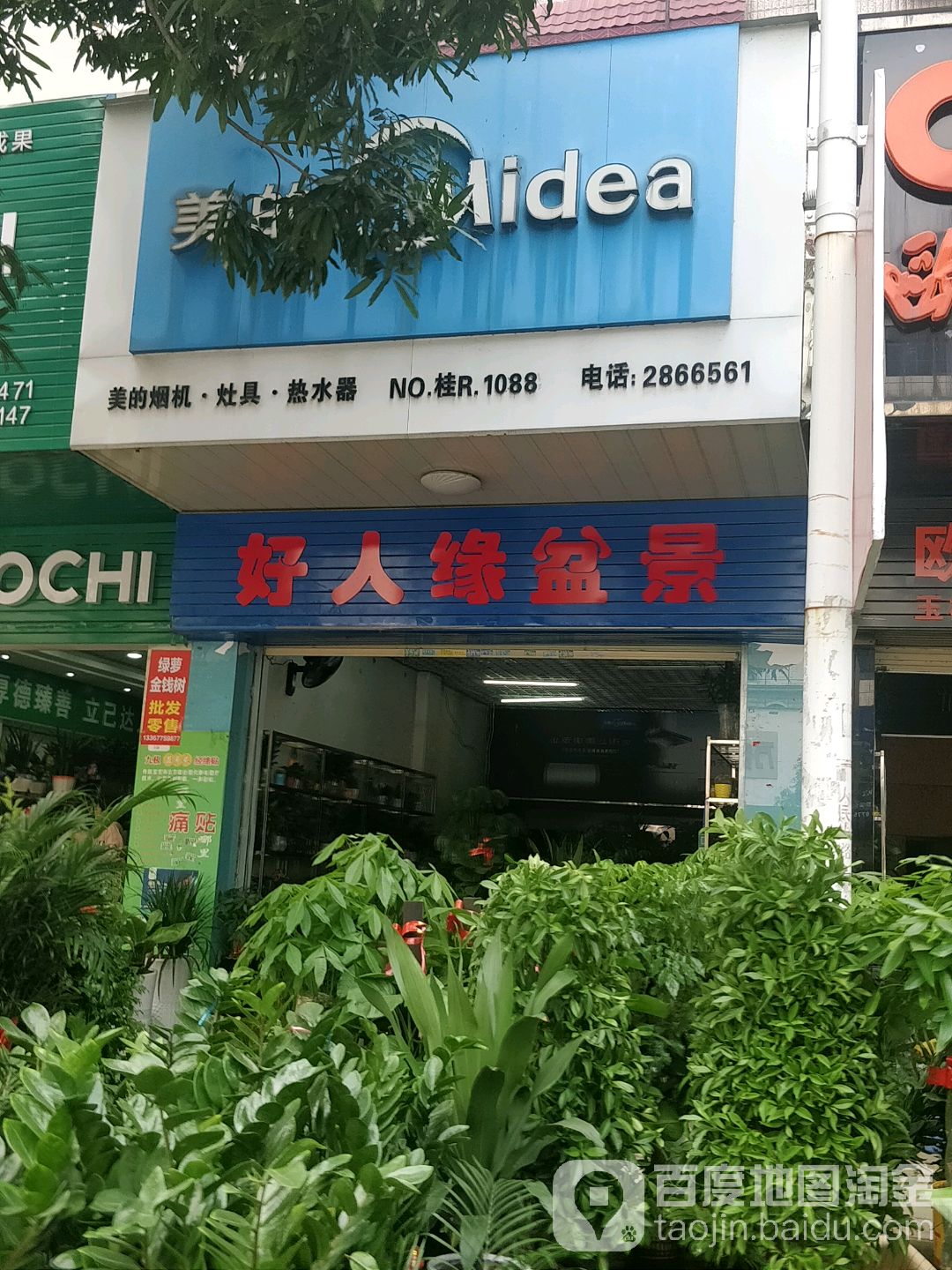 好人缘盆景花店(人民中路店)