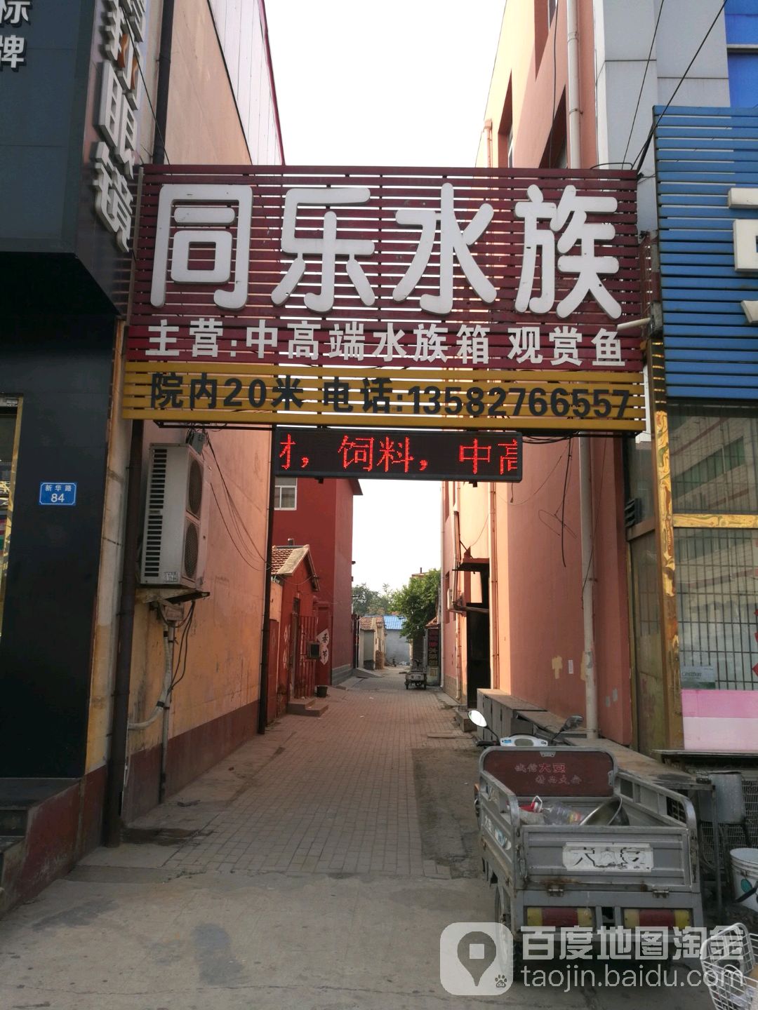 同乐水族