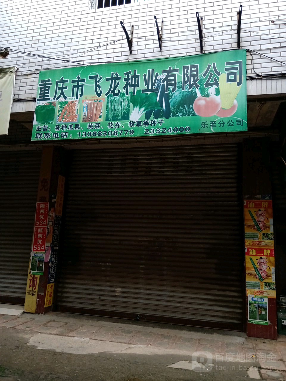 乐至飞龙种业