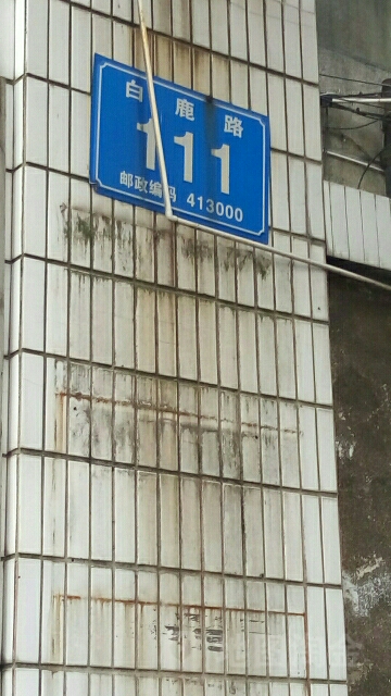 白鹿路111